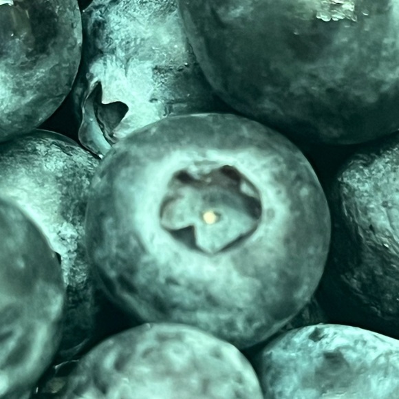 Meet your Posher, Scottsdale Mama - Picture 3 of 3